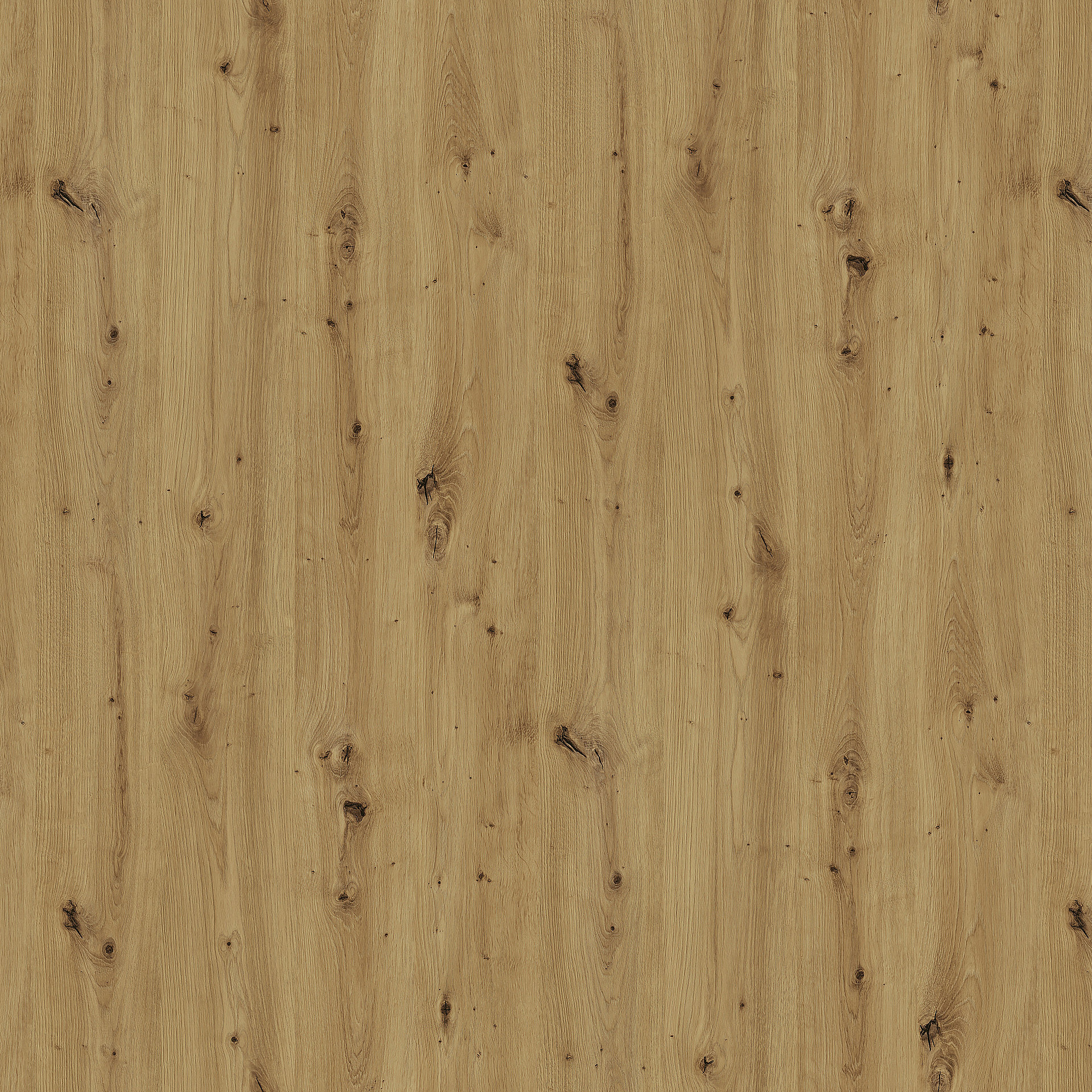 DecoBoard P2 - R 20315 NW Rovere Artisan  19 mm - 2800 x 2100 mm