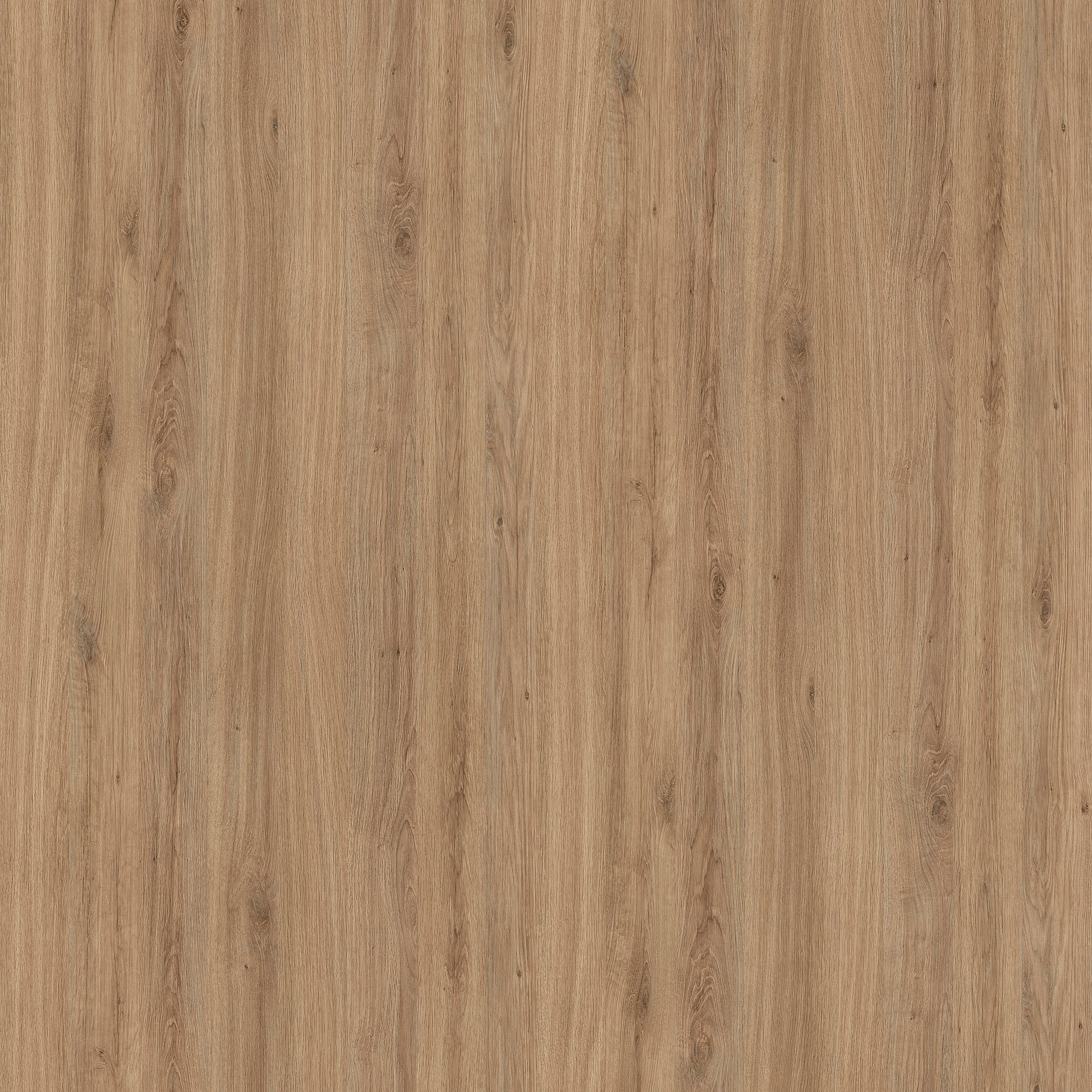 DecoBoard P2 - R 20038 MO Rovere Chalet Naturale (OLD R 4284)  8 mm - 2800 x 2100 mm